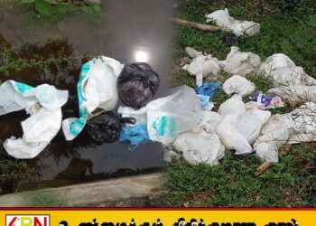 தளவாய் பகுதியில் இறைச்சி கழிவுகள் கொட்டும் மர்ம நபர்களை பிடிக்க நடவடிக்கை