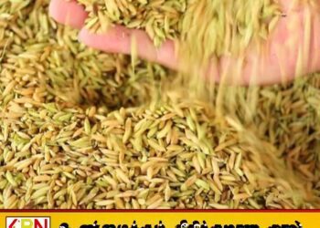 நெல் கொள்வனவுக்கு அனைத்து ஏற்பாடுகளும் பூர்த்தி; பிரதி அமைச்சர் அரவிந்த செனரத்
