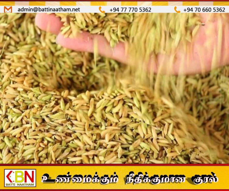 நெல் கொள்வனவுக்கு அனைத்து ஏற்பாடுகளும் பூர்த்தி; பிரதி அமைச்சர் அரவிந்த செனரத்