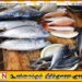 மீனவர்களின் போராட்டத்தால் சந்தையில் மீன் விலை அதிகரிப்பு