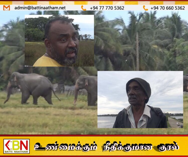 தொடரும் 12யானைகளின் அட்டகாசம்!; தீர்வு கோரும் திருப்பெருந்துறை பொதுமக்கள்!