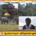 தொடரும் 12யானைகளின் அட்டகாசம்!; தீர்வு கோரும் திருப்பெருந்துறை பொதுமக்கள்!