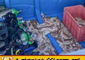 சட்டவிரோத கடல் அட்டைகளுடன் பத்து பேர் கைது