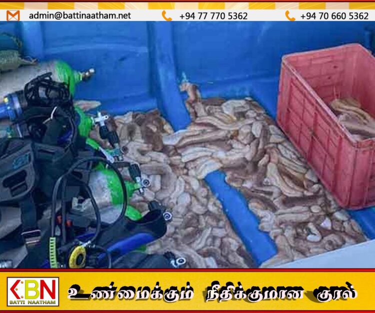 சட்டவிரோத கடல் அட்டைகளுடன் பத்து பேர் கைது