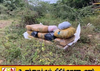 கிளிநொச்சி மாசார் பகுதியில் 105 இலட்ச ரூபாய் மதிப்பிலான கேரள கஞ்சா பறிமுதல்