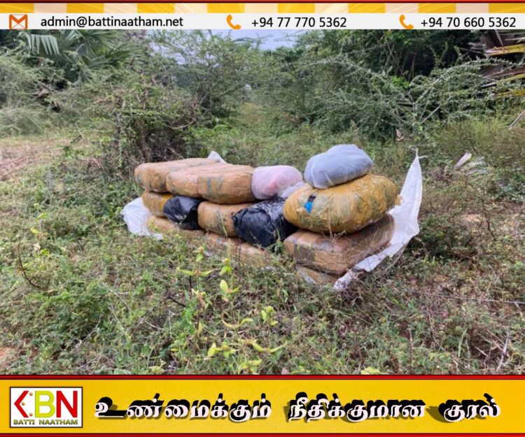 கிளிநொச்சி மாசார் பகுதியில் 105 இலட்ச ரூபாய் மதிப்பிலான கேரள கஞ்சா பறிமுதல்