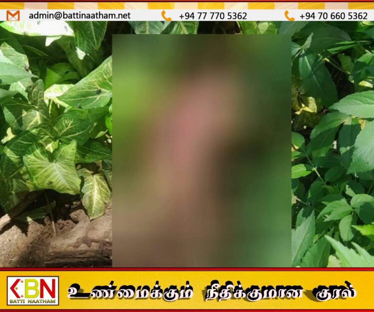 பண்டாரவளையில் சிசுவின் சடலம் மீட்பு; பெண்ணொருவர் கைது
