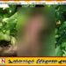 பண்டாரவளையில் சிசுவின் சடலம் மீட்பு; பெண்ணொருவர் கைது