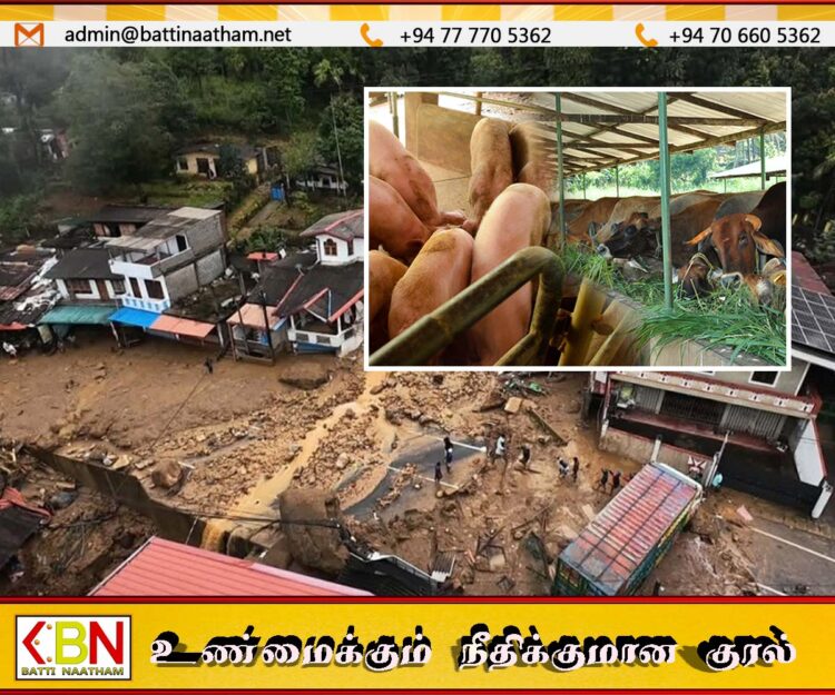 டித்வா புயலினால் சேதமடைந்த பண்ணைகளுக் ரூ.3.2 பில்லியனுக்கும் அதிக இழப்பீடு; பிரதி அமைச்சர் நாமல் கருணாரத்ன