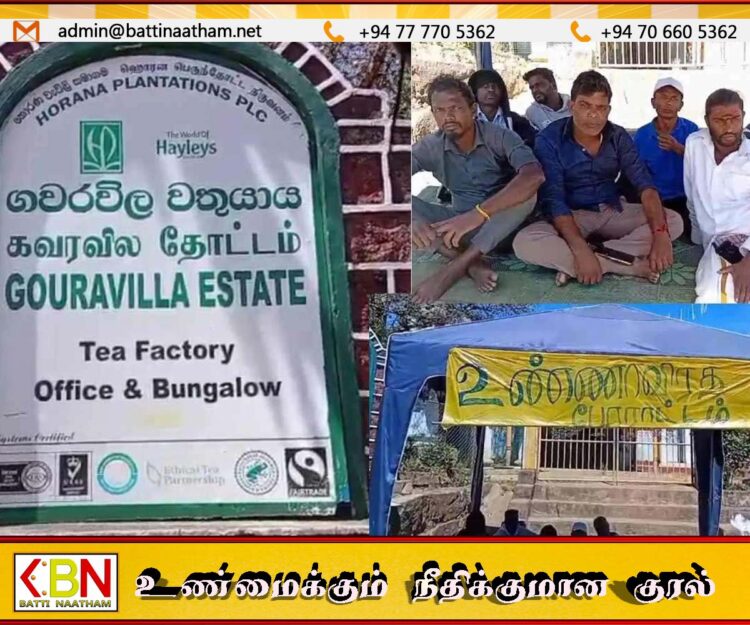 உண்ணாவிரதப் போராட்டம் வெற்றி; கவரவில் தோட்டத் தொழிலாளர்கள் 8 பேரும் மீண்டும் பணியில்
