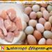 நாட்டில் முட்டை மற்றும் கோழி இறைச்சியின் விலைகள் அதிகரிப்பு!