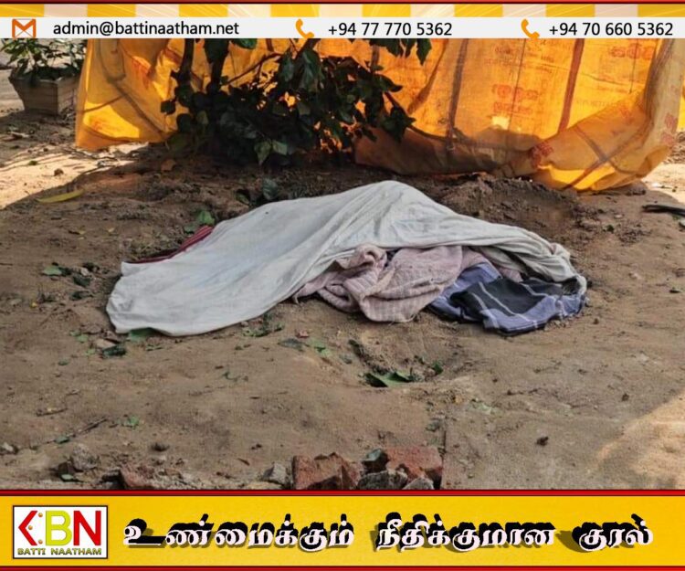 மட்டு முனைக்காட்டில் யானை தாக்கி ஐந்து பிள்ளைகளின் தாய் பலி