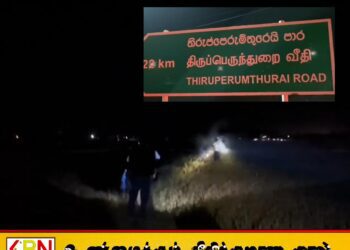 மட்டக்களப்பு திருப்பந்துறை பகுதியில் யானைகளின் அட்டகாசம்