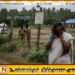 முல்லைத்தீவில் யானை மின்சார வேலியில் கழுத்து சிக்கி சிறுவன் உயிரிழப்பு