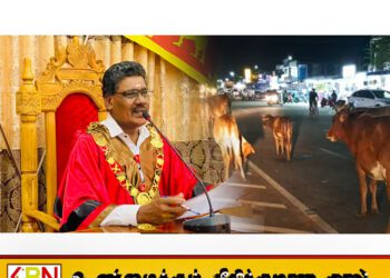 வீதியில் திரியும் கட்டாக்காலி மாடுகளுக்கான தண்டத்தை 10 ஆயிரமாக உயர்த்திய மட்டு மாநகரசபை