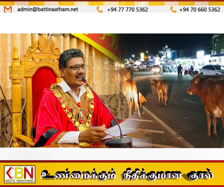 வீதியில் திரியும் கட்டாக்காலி மாடுகளுக்கான தண்டத்தை 10 ஆயிரமாக உயர்த்திய மட்டு மாநகரசபை
