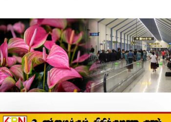 கட்டுநாயக்க விமான நிலையத்தில் அந்தூரியம் செடிகளுடன் இரு இலங்கைப் பெண்கள் கைது