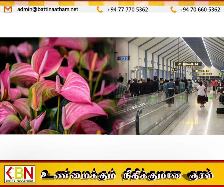 கட்டுநாயக்க விமான நிலையத்தில் அந்தூரியம் செடிகளுடன் இரு இலங்கைப் பெண்கள் கைது