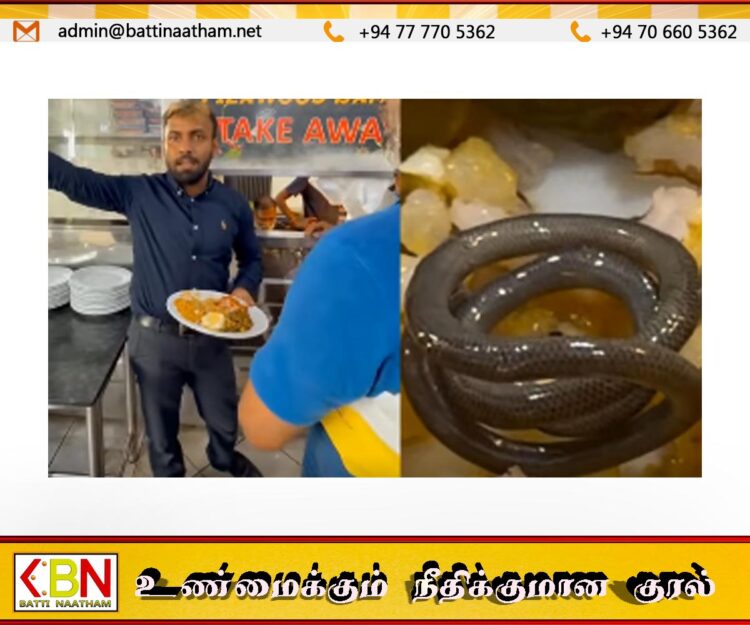 கொழும்பு உணவகமொன்றில் பரபரப்பு!; உணவுக்குள் அவிந்து கிடந்த பாம்பு குட்டி?