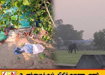 மட்டு கொக்கட்டிச்சோலையில் குடிமனை பகுதிக்குள் காட்டு யானை புகுந்து தாக்கியதில் ஒருவர் உயிரிழப்பு