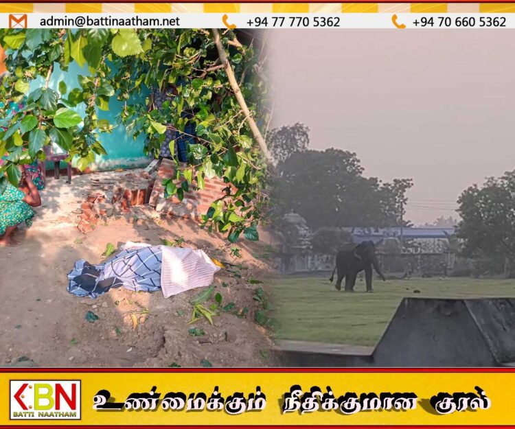 மட்டு கொக்கட்டிச்சோலையில் குடிமனை பகுதிக்குள் காட்டு யானை புகுந்து தாக்கியதில் ஒருவர் உயிரிழப்பு