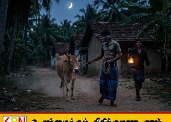 மட்டு திராய்மடு, பாலமீன்மடு பிரதேசத்தில் மாடு திருடர்களை பிடித்துத்தந்தால் 25 ஆயிரம் ரூபா சன்மானம்