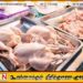 கோழியிறைச்சி வாங்கும் மக்களுக்கு எச்சரிக்கை; ஆனமடுவில் கும்பலொன்று கைது