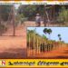 யாழில் 36 வருடங்களாக இராணுவ கட்டுப்பாட்டிலிருந்த காணி விடுவிப்பு!