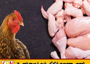 சந்தையில் கோழி இறைச்சியின் விலை மீண்டும் உயர்வு!