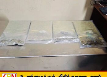 கட்டுநாயக்க விமான நிலையத்தில் ‘குஷ்’ போதைப்பொருள் பறிமுதல்; வர்த்தகர் கைது!