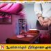 மசாஜ் நிலையங்கள் என்ற போர்வையில் இயங்கி வந்த விபச்சார விடுதிகள் சுற்றிவளைப்பு; 10 பேர் கைது!