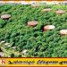 திருகோணமலை எரிசக்தி மையமாக மாறுகிறது; எண்ணெய் தாங்கிகளை நவீனமயமாக்க 32 மில்லியன் ஒதுக்கீடு!