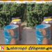 கொக்கட்டிச்சோலையில் பொலிஸ் பிரிவில் கசிப்பு உற்பத்தி நிலையம் பொலிஸாரால் முற்றுகை