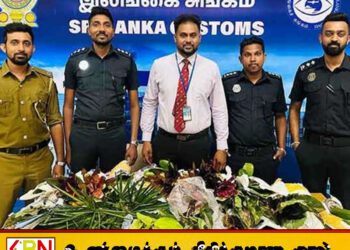 சட்டவிரோத அலங்காரத் தாவரங்களுடன் வந்த இலங்கையர் கட்டுநாயக்க விமான நிலையத்தில் கைது