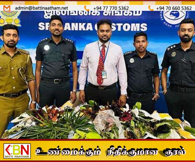 சட்டவிரோத அலங்காரத் தாவரங்களுடன் வந்த இலங்கையர் கட்டுநாயக்க விமான நிலையத்தில் கைது