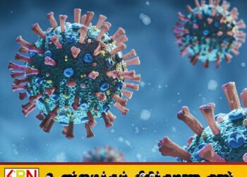 23 நாடுகளில் கொரோனா வைரஸின் புதிய திரிபு