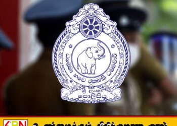 கிளிநொச்சியில் பாரிய மரக்கடத்தல் முறியடிப்பு; 40 இலட்சம் பெறுமதியான மரங்கள் மீட்பு!