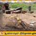 மொரட்டுவை மயானத்தில் பரபரப்பு; நகைகளுக்காக கல்லறையைத் தோண்டிய பயங்கரம்!