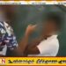 ஹற்றன் பாடசாலை வகுப்பறைக்குள் மாணவன் மீது தாக்குதல்; பழைய மாணவர் உட்பட மூவர் கைது!
