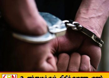 வெலிவிட்ட பகுதியில் துப்பாக்கிகள் மற்றும் தோட்டாக்களுடன் சந்தேகநபர் கைது