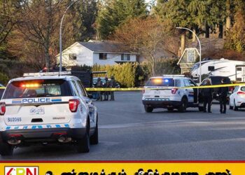 கனடாவில் துப்பாக்கி சூடு நடத்திய இலங்கை தமிழ் இளைஞன் கைது