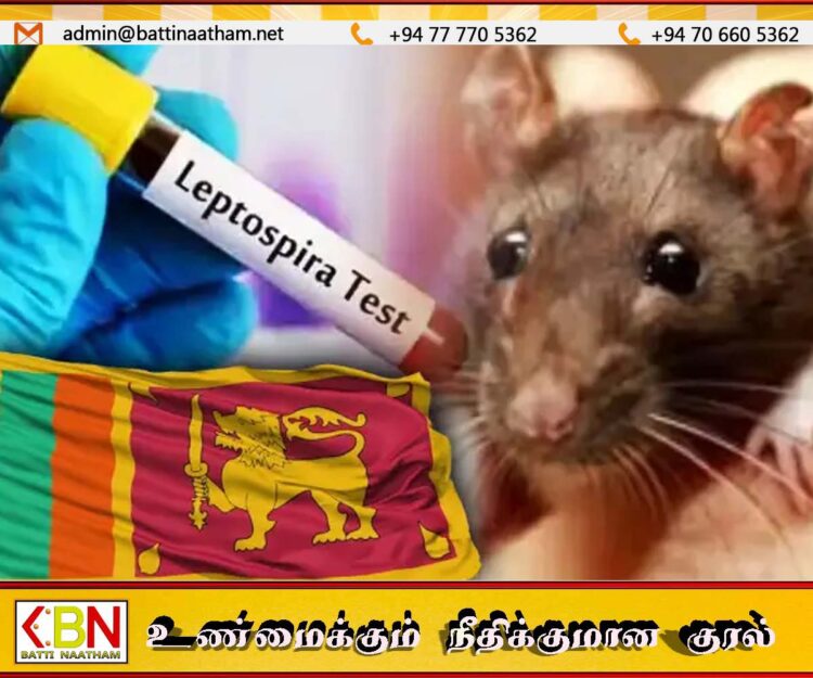 நாட்டில் எலிக்காய்ச்சல் எச்சரிக்கை; 300 பேர் மரணம்