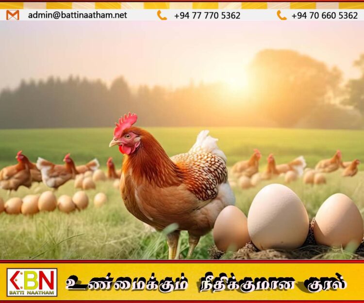 முட்டை மற்றும் கோழி இறைச்சியின் விலை அதிகரிப்பு