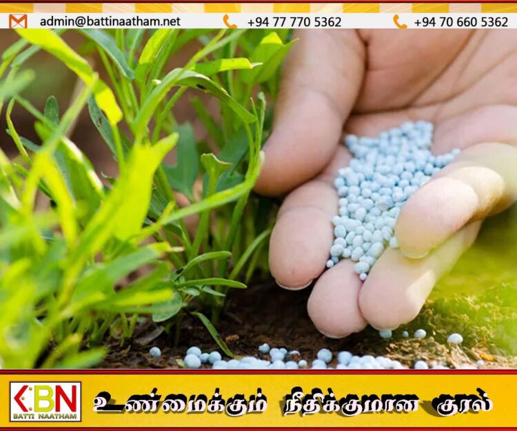 சிறுபோக நெற்செய்கைக்கு மாத்திரம் யூரியா உரத்தை வழங்க தீர்மானம்