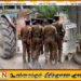 யாழில் உழவு இயந்திரம் மோதி பொலிஸ் உத்தியோகத்தர் உயிரிழப்பு