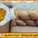கற்பிட்டியில் கடற்படை அதிரடி; 907 கிலோ கிராம் சட்டவிரோத உலர்ந்த மஞ்சள் பறிமுதல்!