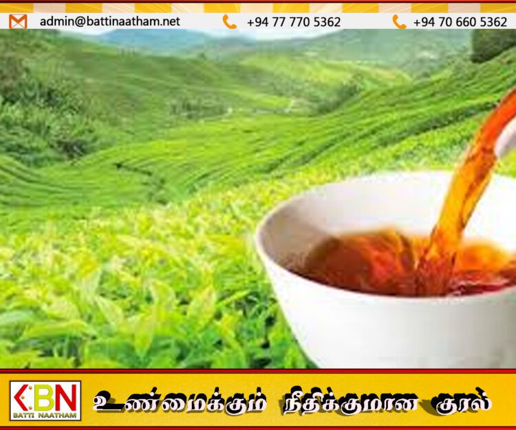 2026 மார்ச் மாதத்தில் இலங்கையின் தேசிய தேயிலை சராசரி விலை வீழ்ச்சி!