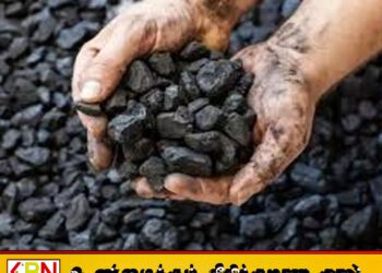 நிலக்கரி விவகாரம்; முழு அதிகாரங்களை கொண்ட குழு நியமனம்!