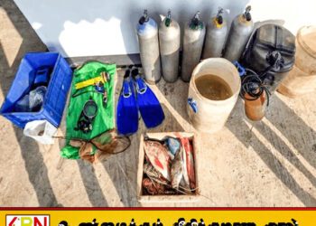சட்டவிரோத மீன்பிடி நடவடிக்கைகள்; 41 பேர் கைது!