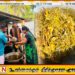 வாழைச்சேனை பேத்தாழை பாலீஸ்வரர் ஆலயத்தில் பக்திபூர்வமாக நடைபெற்ற மருத்துநீர் காய்ச்சும் நிகழ்வு!